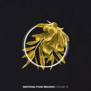 Emotional Piano Melodies Volume 10