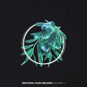 Emotional Piano Melodies Volume 11